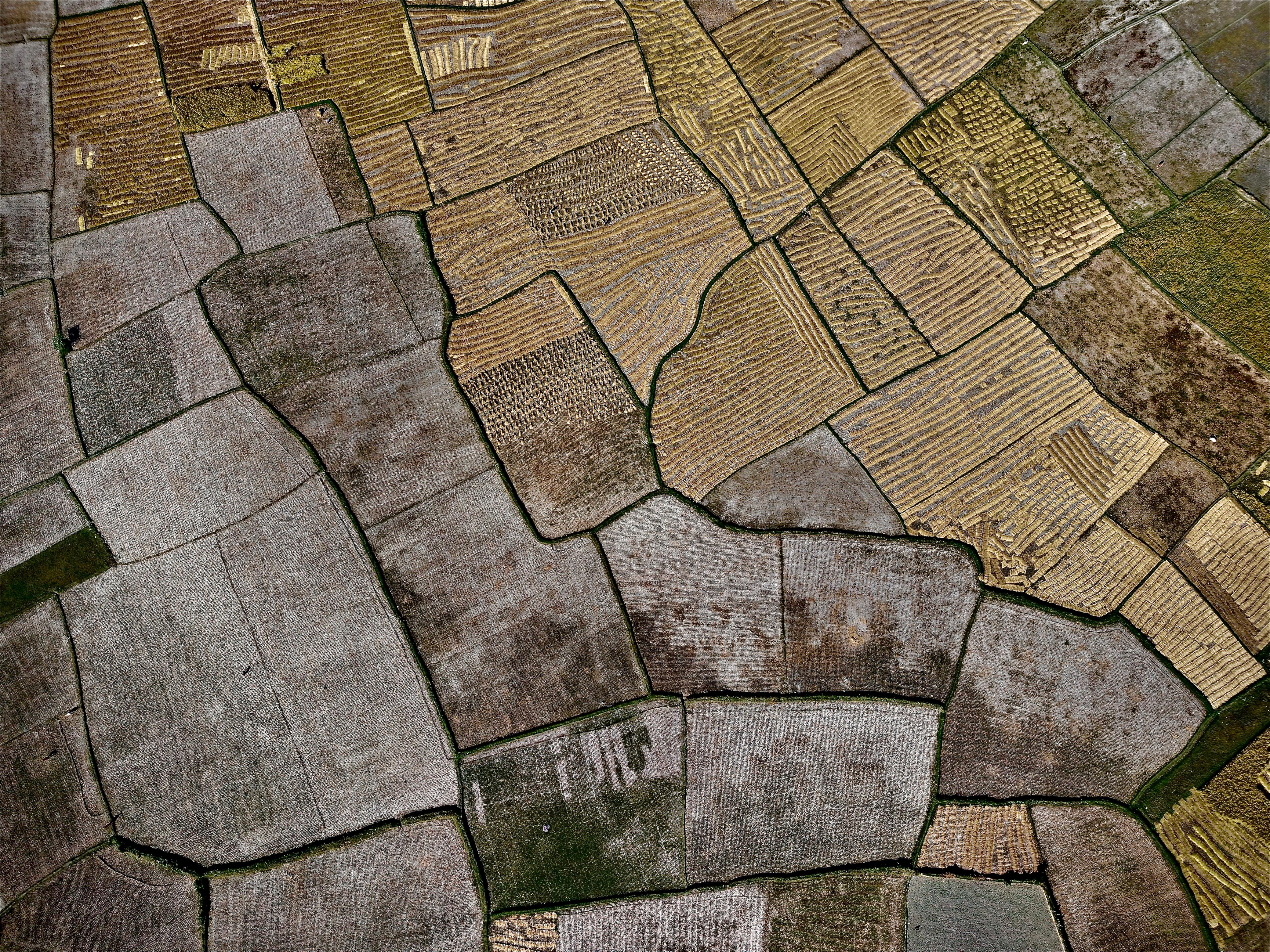 Aerial view of agricultural fields forming geometric patterns